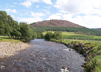 Starting a business in Aberdeenshire