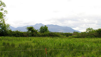 Starting a business in County Kerry