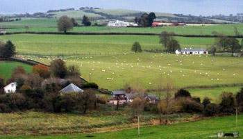 Starting a business in County Westmeath